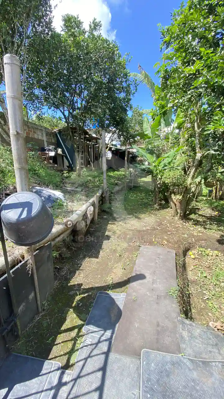 Vereda La Virginia Puente Tierra Yotoco